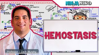 Hematology  Hemostasis Coagulation Cascade [upl. by Xino]