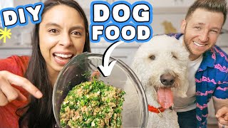 HOMEMADE DOG FOOD RECIPE 🐶 Healthy easy amp affordable [upl. by Beckerman]