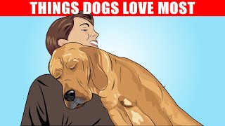 15 Things Dogs Love the Most [upl. by Voorhis]