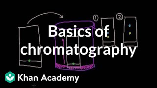 Basics of chromatography  Chemical processes  MCAT  Khan Academy [upl. by Yromem]