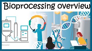 Bioprocessing overview Upstream and downstream process [upl. by Gauldin]