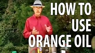 How To Use Orange Oil  The Dirt Doctor [upl. by Nawoj294]