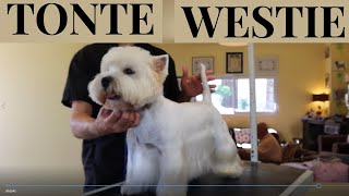 Toilettage Westie en Tonte [upl. by Poler503]