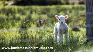 The Sacrifice Lamb  LAMB  JOEL CHERNOFF THE OFFICIAL CHANNEL [upl. by Nowad]