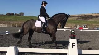 British Dressage Novice 27 [upl. by Herrah]