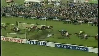 Abandoned Grand National 1993 BBC Highlights Horse Racing [upl. by Fessuoy]