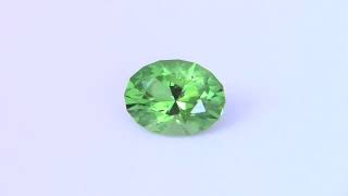 091 Carat Tanzanian Tsavorite Garnet [upl. by Boeschen925]