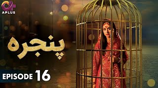 Pakistani Drama  Pinjra  Episode 16  Aplus Gold  Yumna Zaidi Nauman Aijaz  CZ1O [upl. by Jammie]