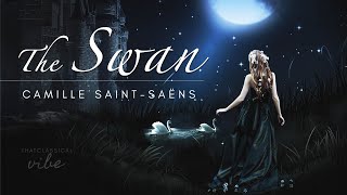 The Swan  SaintSaëns extended 1 hour [upl. by Ayom339]