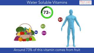 Water Soluble Vitamins  An overall nutrient window [upl. by Cadal]