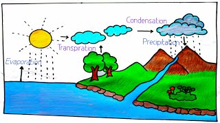 how to draw water cycle for school project  water cycle project drawing [upl. by Tanhya]