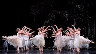 Swan Lake Corps de Ballet The Royal Ballet [upl. by Stickney]