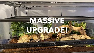 MASSIVE ENCLOSURE SETUP  Ball Python Gets A New Home [upl. by Sherman932]