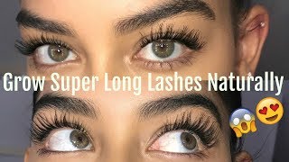 HOW TO GROW YOUR LASHES NATURALLY [upl. by Atsyrt655]