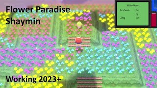 BDSP Shaymin Glitch in 2023  Future Proof [upl. by Dareen967]