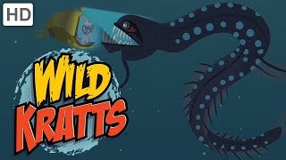 Wild Kratts  Dive into the Atlantic Ocean [upl. by Aggi]