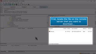 FTP How to Download Files Using FileZilla [upl. by Poirer881]