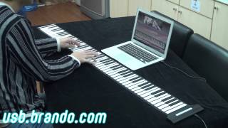 USB RollUp Piano 88 Keys [upl. by Coffey790]