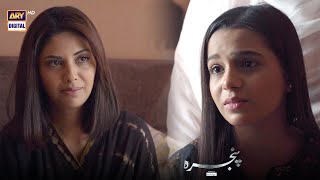 Pinjra Episode 3  Sunita Marshall  Emaan khan  BEST SCENE [upl. by Malissia]