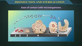 Disinfection and Sterilization [upl. by Leisha]