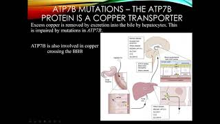 Hyperkinetic Movement Disorders [upl. by Nivlen]