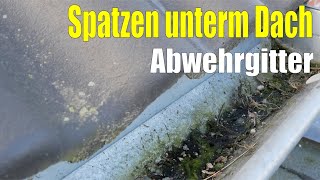 Spatzen unterm Dach  Abwehrgitter [upl. by Mlohsihc]