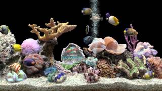 ★ Marine Aquarium ★ HQ 1080p 60fps ★ Screensaver ★ Black Ocean ★ [upl. by Nilyac]