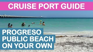 Progreso Yucatán Cruise Port Guide Public Beach On Your Own [upl. by Ahsietal]