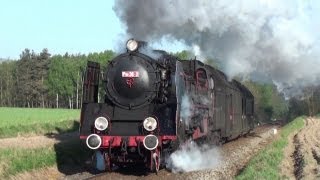 Poland PKPSteam Engines in Wolsztyn [upl. by Lauralee]