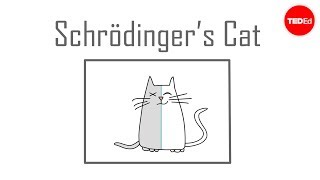 Schrödingers cat A thought experiment in quantum mechanics  Chad Orzel [upl. by Rodrique143]