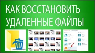 6 способов восстановить удаленные файлы [upl. by Mercer99]