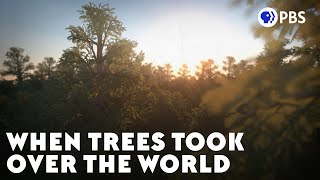 When Trees Took Over the World [upl. by Suriaj]