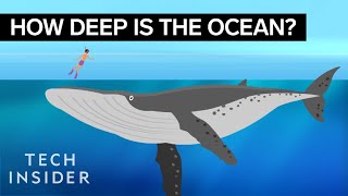 This Incredible Animation Shows How Deep The Ocean Really Is [upl. by Analah904]