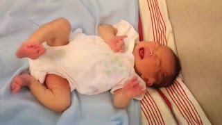 Newborn Baby Kicking and Crying [upl. by Jaquenette]