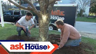 How to Mulch a Garden Bed  Ask This Old House [upl. by Starlin]