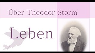 Theodor Storm Biografie Leben und Werk von Storm Schimmelreiter Immensee Aquis submersus [upl. by Natan]