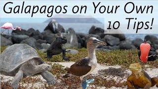 Galapagos on Your Own Top 10 Tips [upl. by Iman]