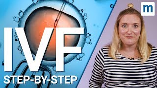 IVF treatment Stepbystep [upl. by Raviv]