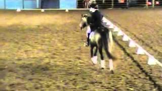 Freestyle dressage  no bridle [upl. by Naitirb]