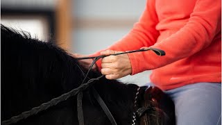 A Simple Exercise to Improve Steering While Riding and prevent your horse from leaning in [upl. by Anton]