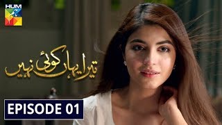 Tera Yahan Koi Nahin Episode 1 HUM TV Drama 30 December 2019 [upl. by Eigla342]