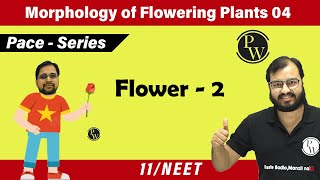 Morphology of Flowering Plants 04  Flower 02  Class 11  NEET  Pace Series [upl. by Nealon709]