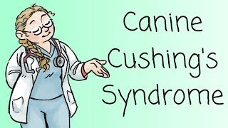 Dr Ferox on Cushings Syndrome [upl. by Carboni237]