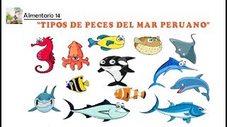 Peces del Mar Peruano y sus Caracteristicas [upl. by Ginnifer]