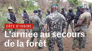 En Côte dIvoire une brigade spéciale au secours de la forêt [upl. by Mychal]