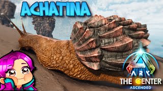 WHERE TO FIND ACHATINA THE CENTER Ark Survival Ascended [upl. by Childers243]