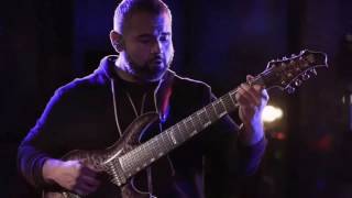 Animals As Leaders  The Brain Dance Dunlop Sessions [upl. by Hayikaz453]