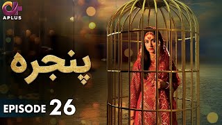 Pakistani Drama  Pinjra  Episode 26  Aplus Gold  Yumna Zaidi Nauman Aijaz  CZ1O [upl. by Bluefield]