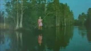 Swamp Girl 1971 trailer [upl. by Laeira569]