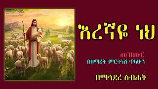 Mirtnesh Tilahun New mezmur Eregnaye neh may 28 2015 [upl. by Tonl870]